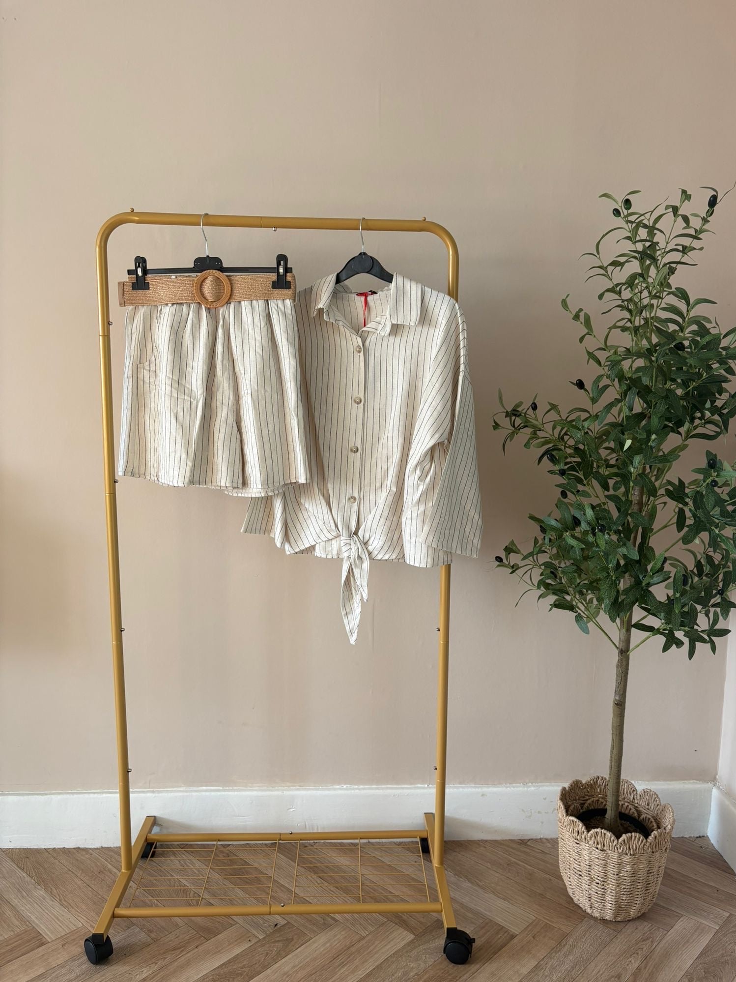 The Savannah Set