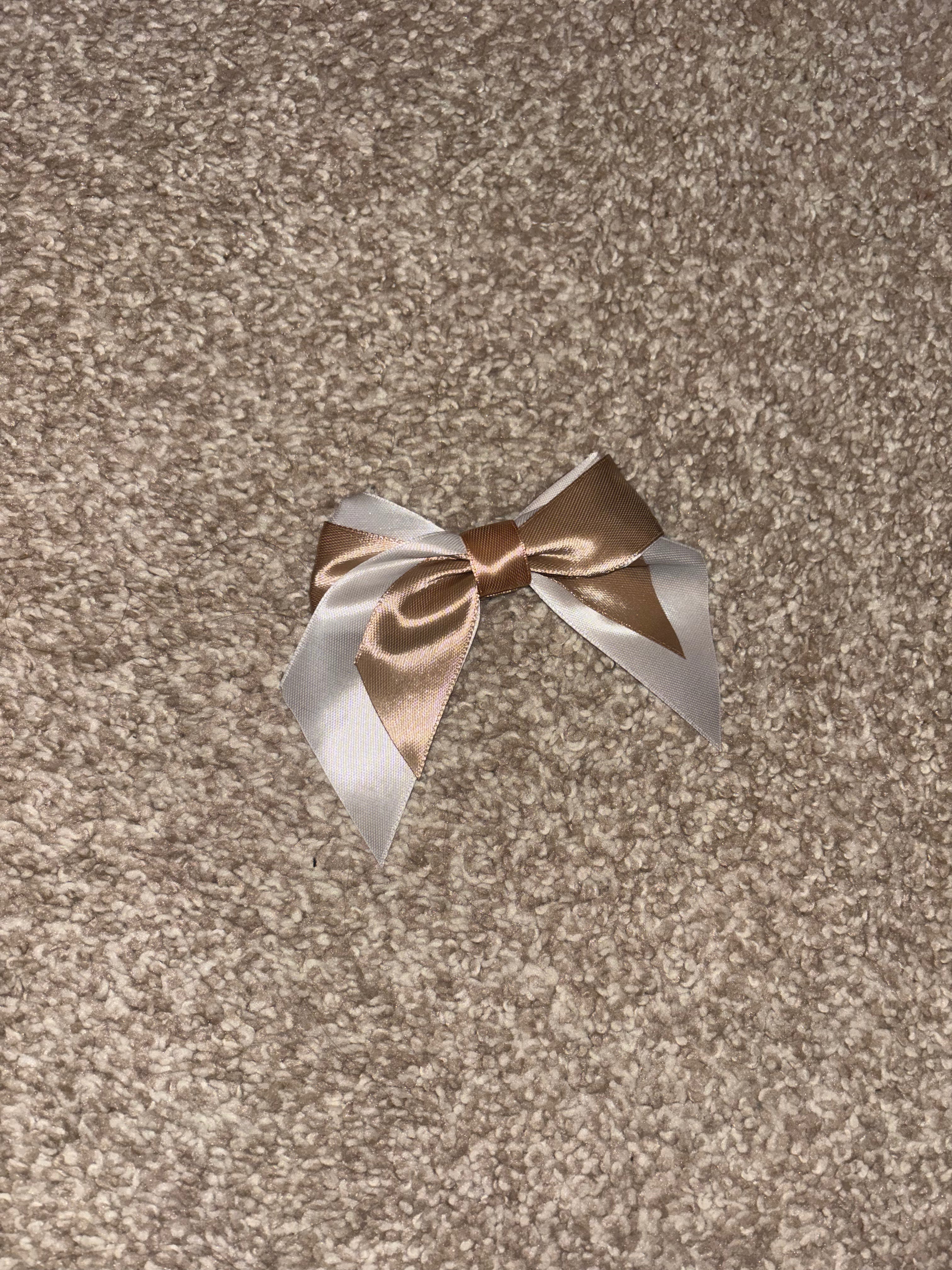 The Bella Bow Clips